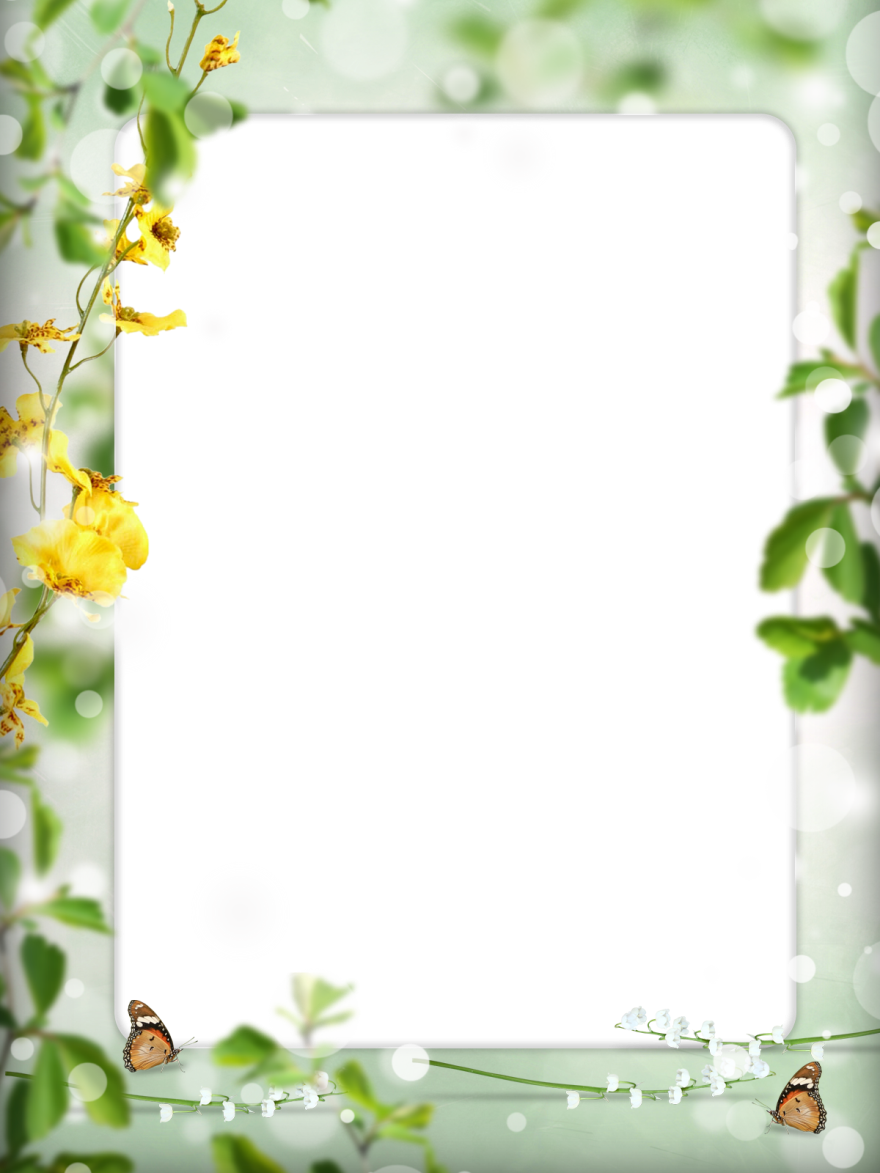 Летняя рамка