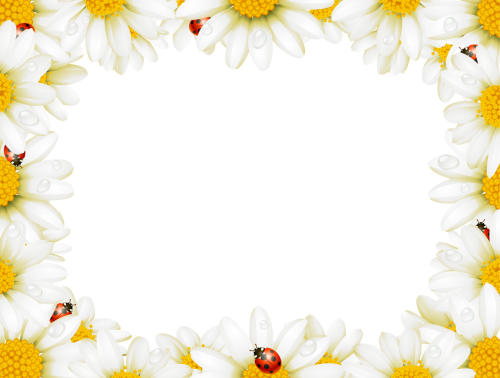 Фоторамка с ромашками