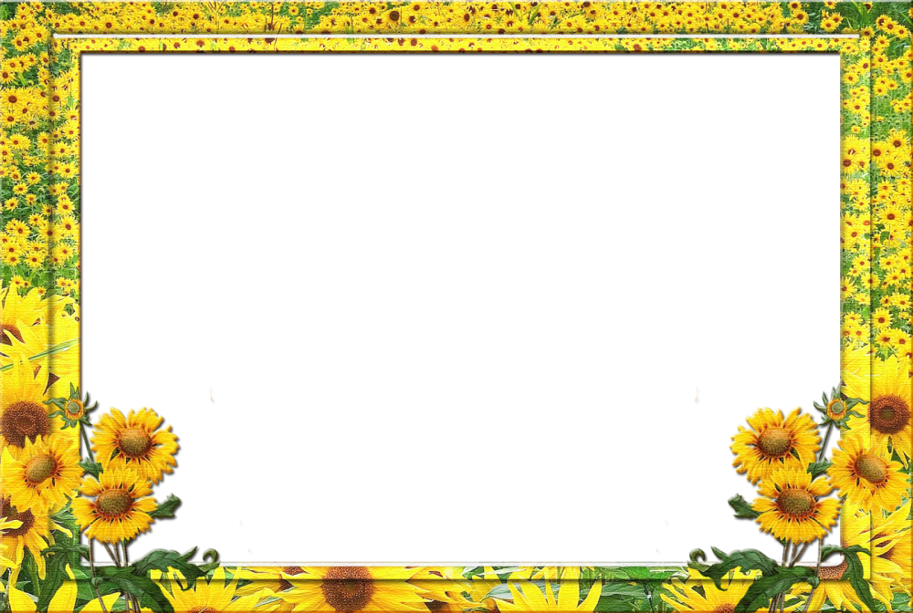 Рамка Подсолнухи