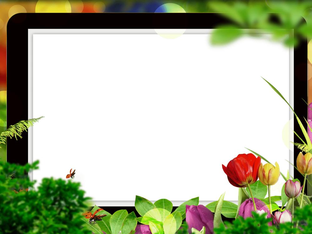 Фоторамка для фотошопа горизонтальная