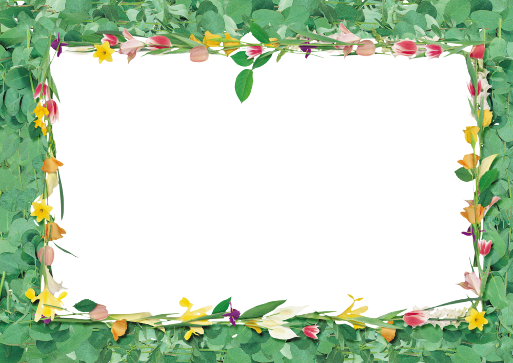 Летняя рамка