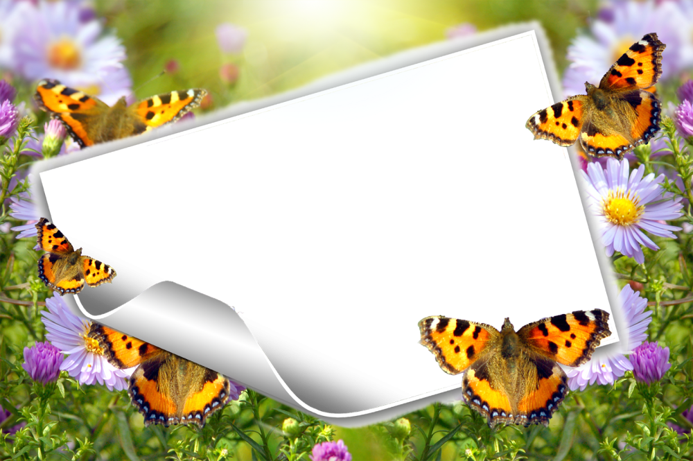 Фоторамка с бабочками