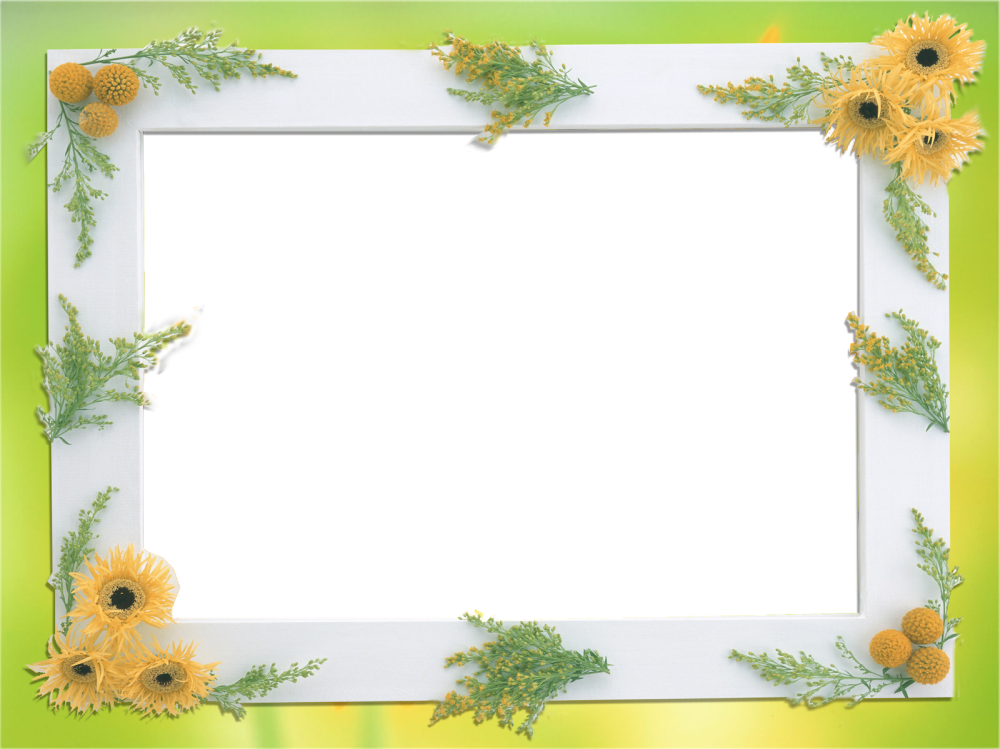 Красивая летняя рамка