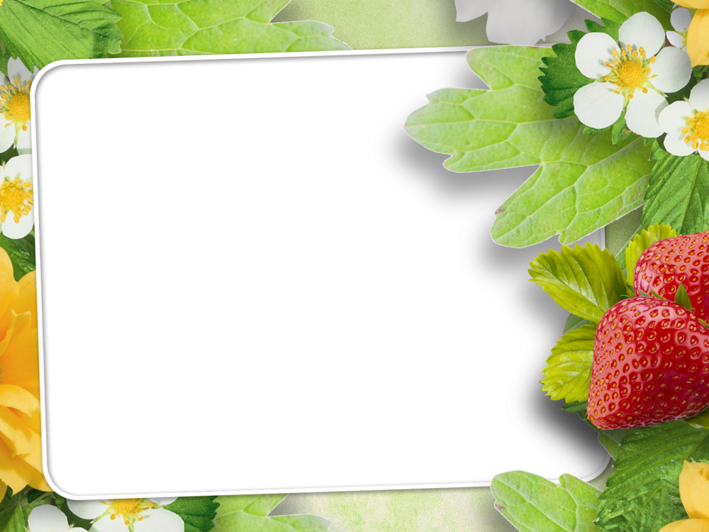 Красивая летняя рамка