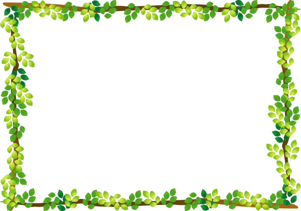 Рамка летняя на прозрачном фоне