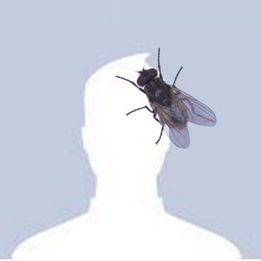 Муза аватарка