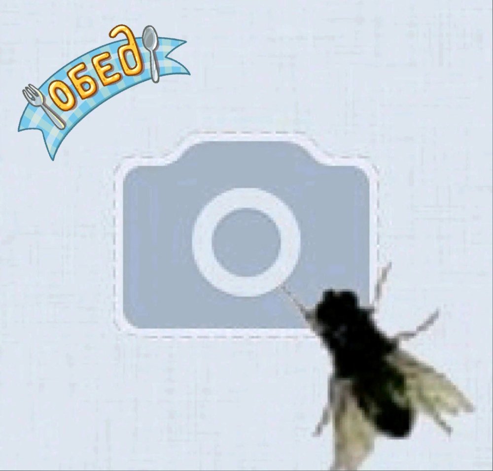 Муха на аву