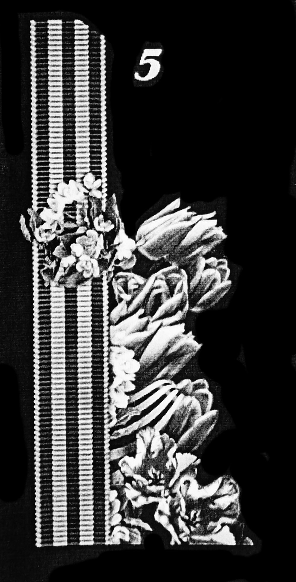 Гвоздики с георгиевской лентой для гравировки