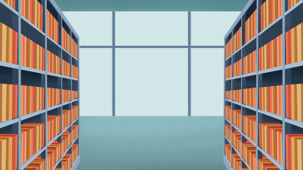 Библиотечные полки