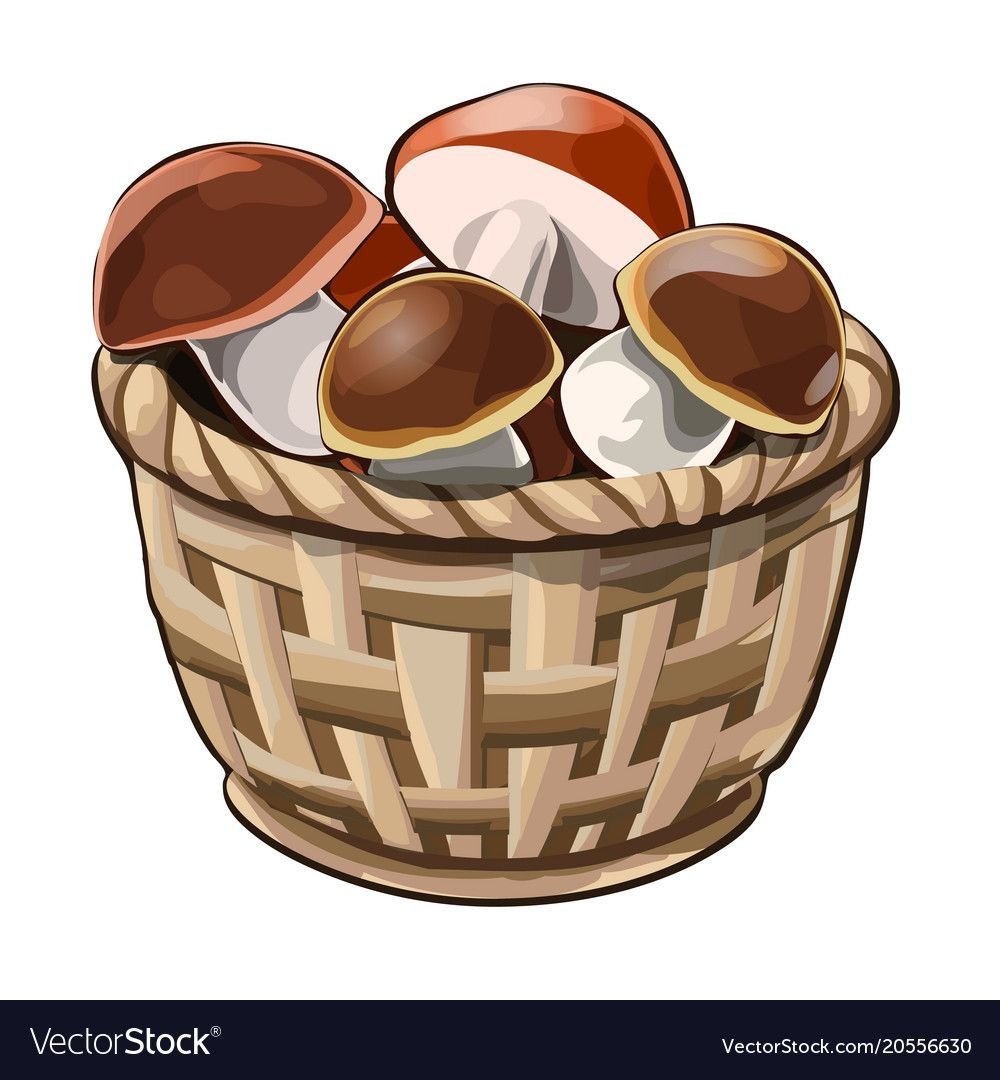 Корзина с грибами на прозрачном фоне