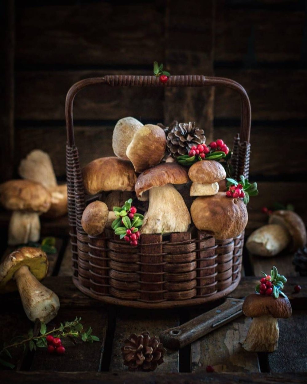 Грибной натюрморт