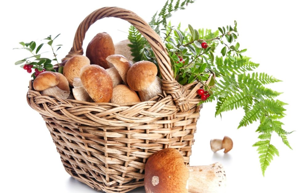 Лукошко с грибами