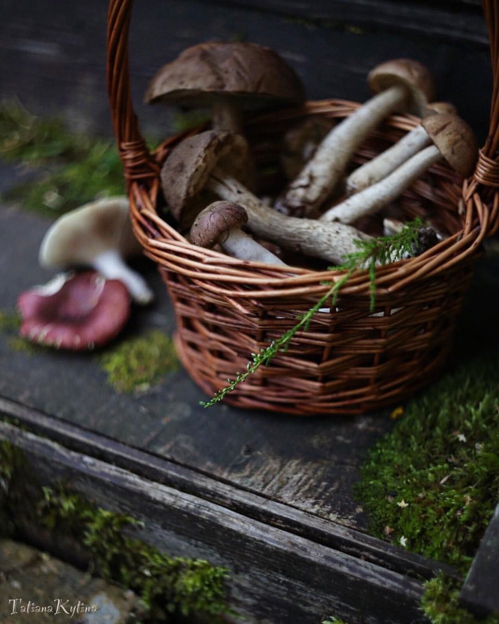 Вектор лукошко грибы ягоды