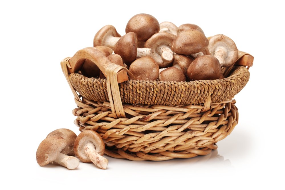 Корзина с грибами на белом фоне