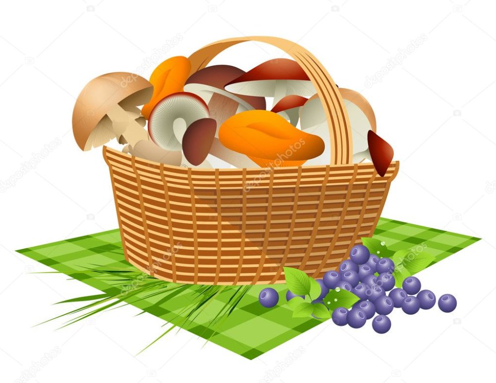 Фотофон грибы