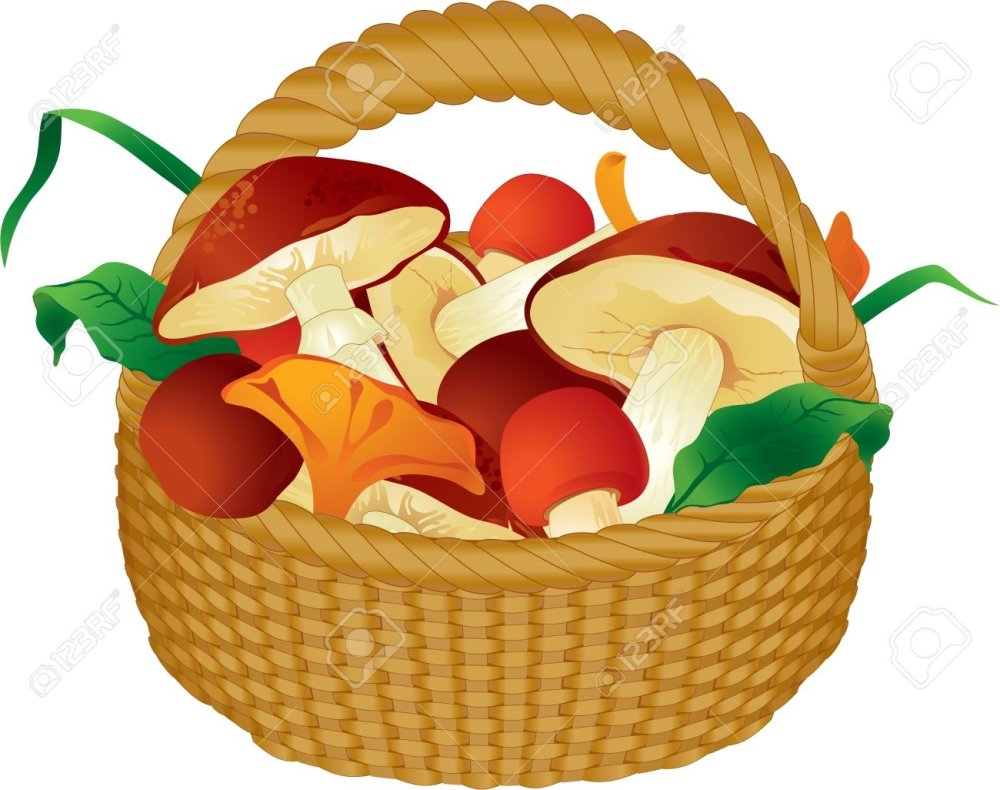 Корзинка с грибами