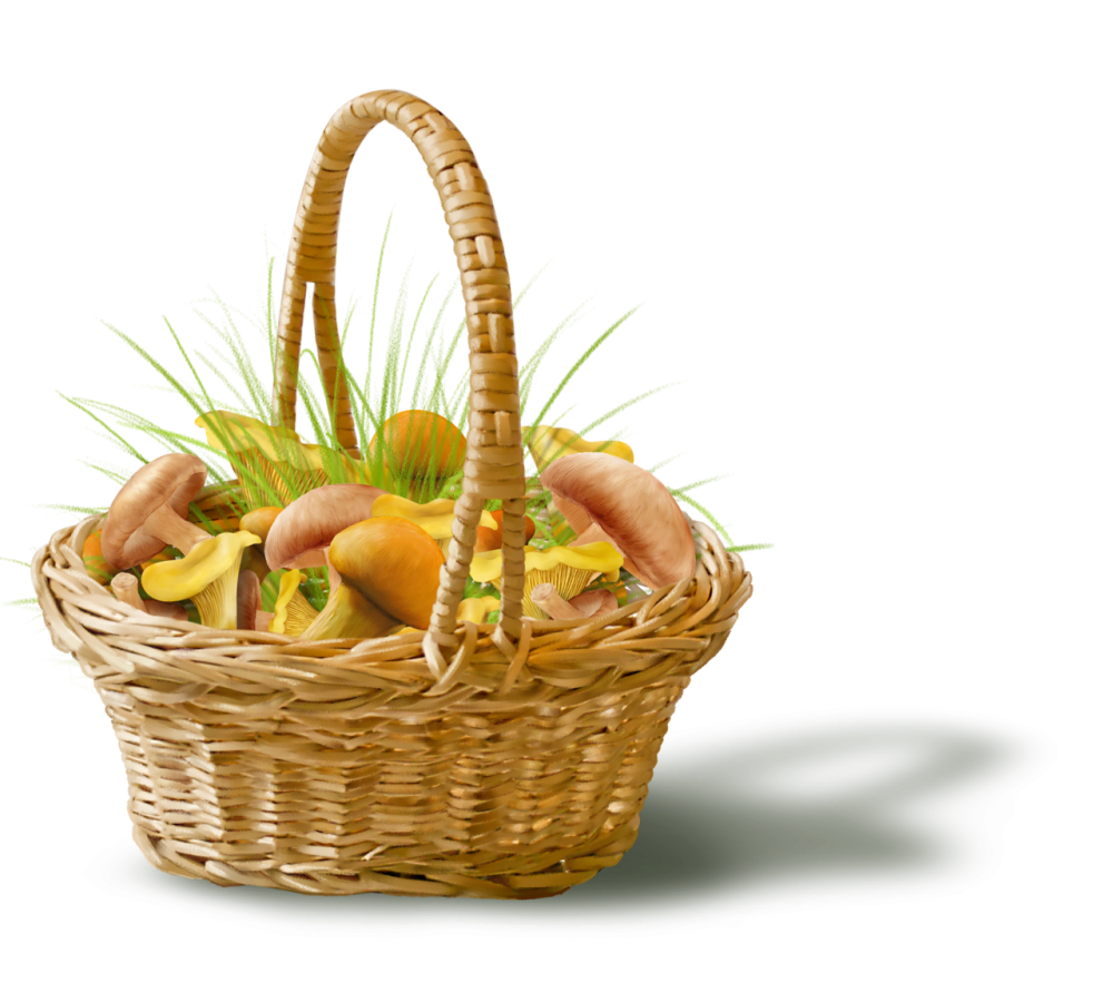 Дети грибы корзина вектор