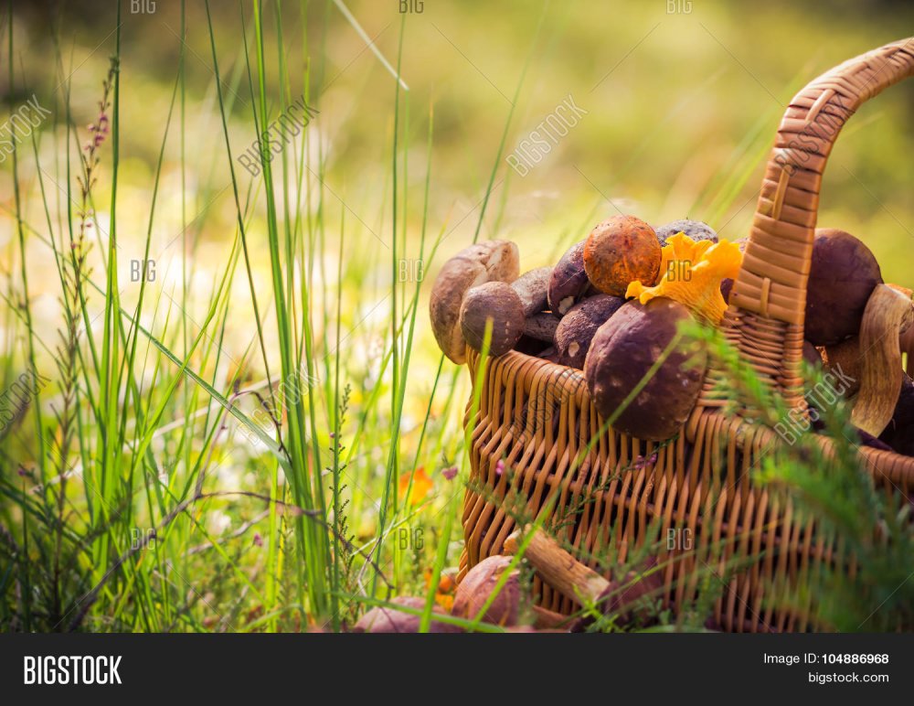 Корзина с грибочками для детей