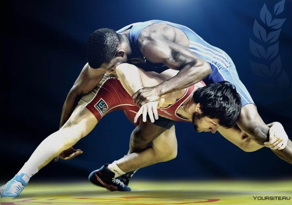 Борцы греко-римской борьбы ветор