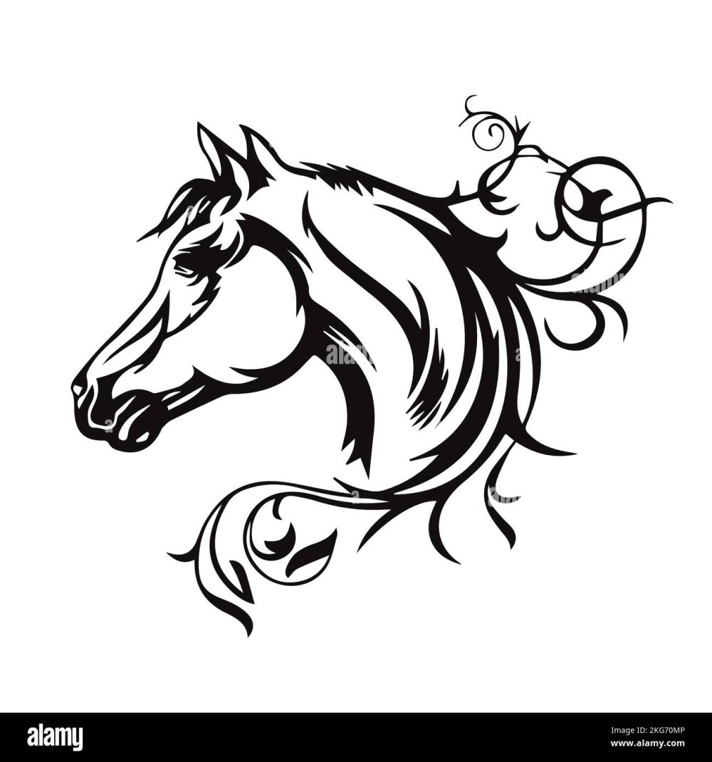 Векторная Графика лошадь