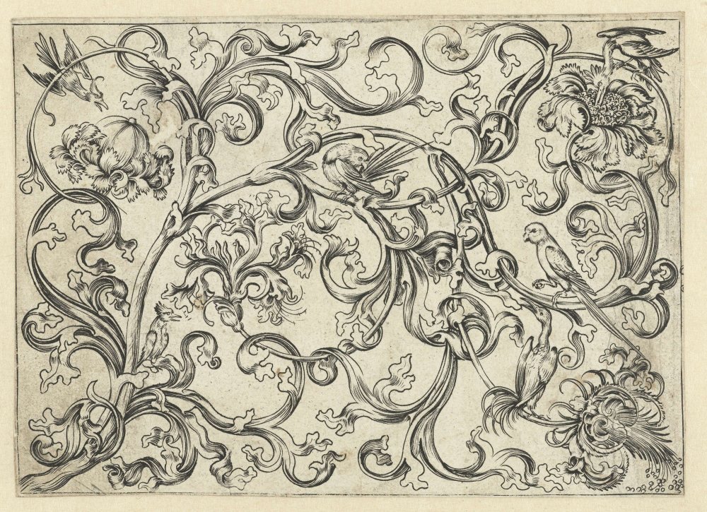 Мартин Шонгауэр Гравюры Акант