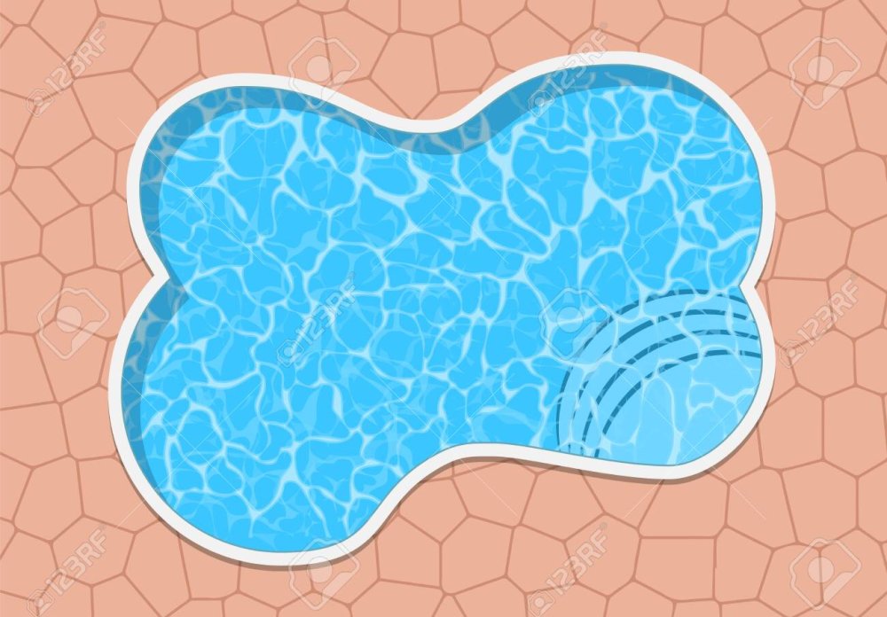 Бассейн вид сверху план