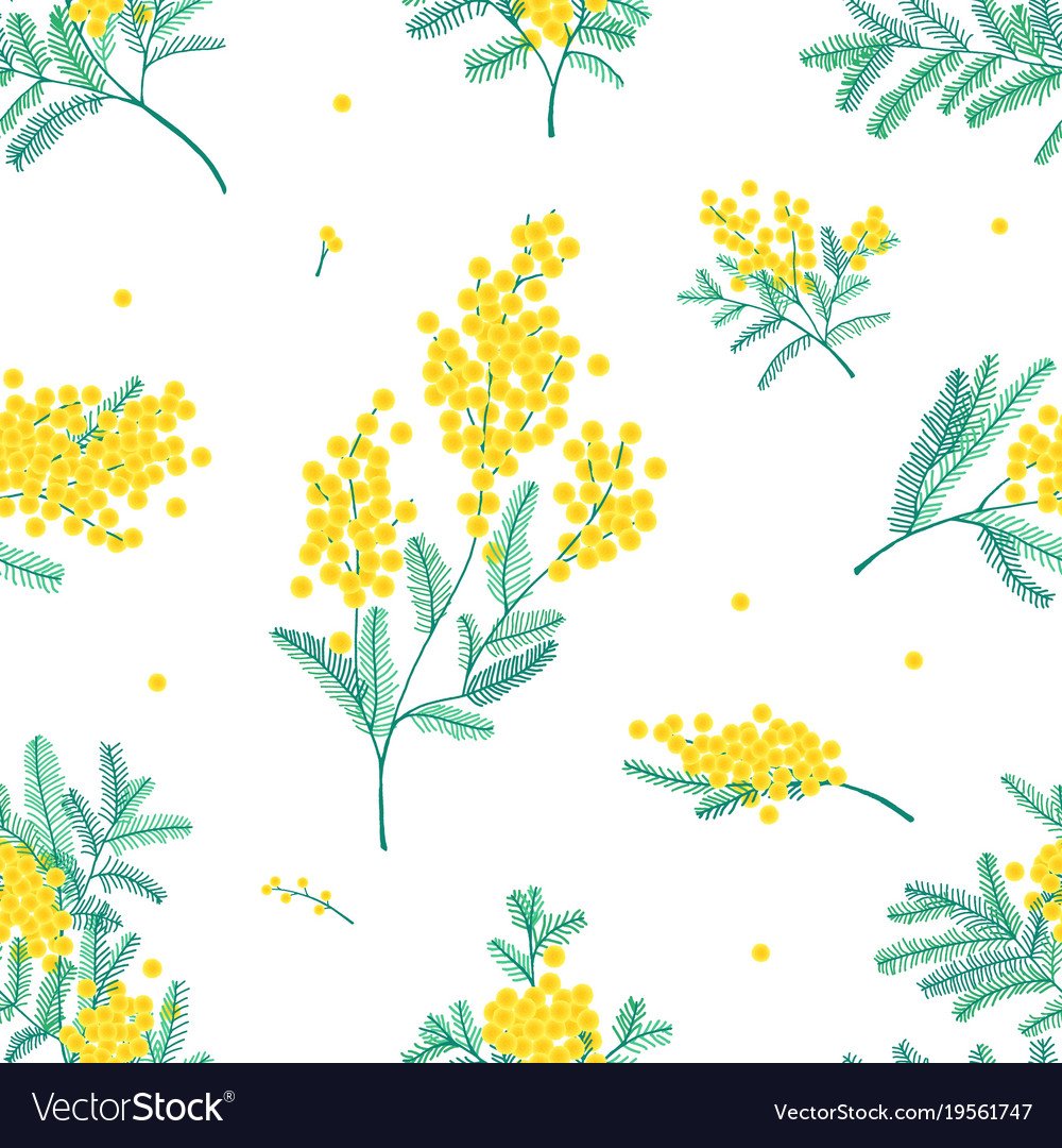 Фрезия и Мимоза