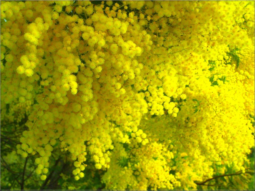 Яркий весенний фон