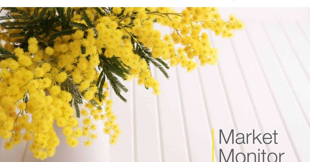 Мимоза Грин