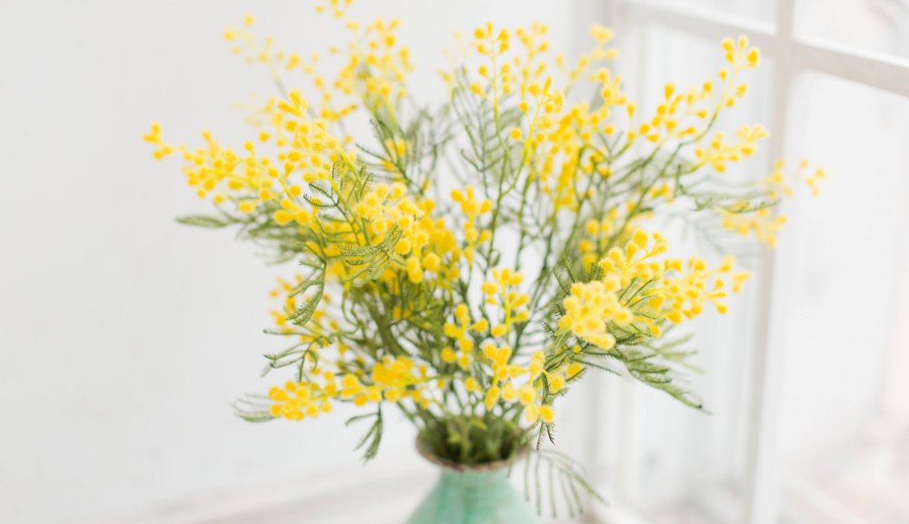 Цветы тюльпаны нарциссы с мимозой