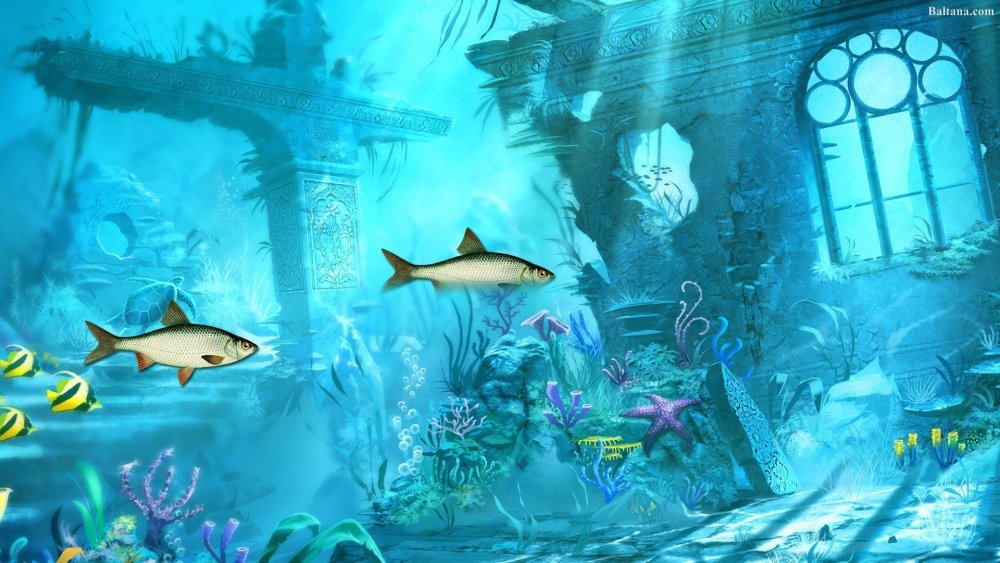 Сказочное Морское дно