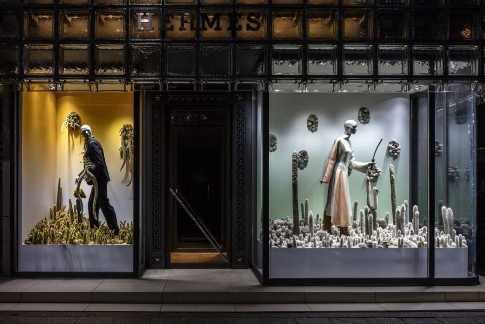 Красивые витрины магазинов