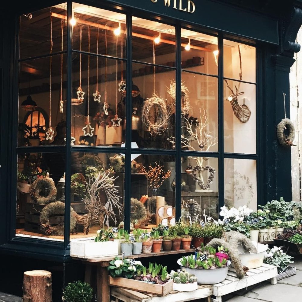 Витрина магазина женской одежды