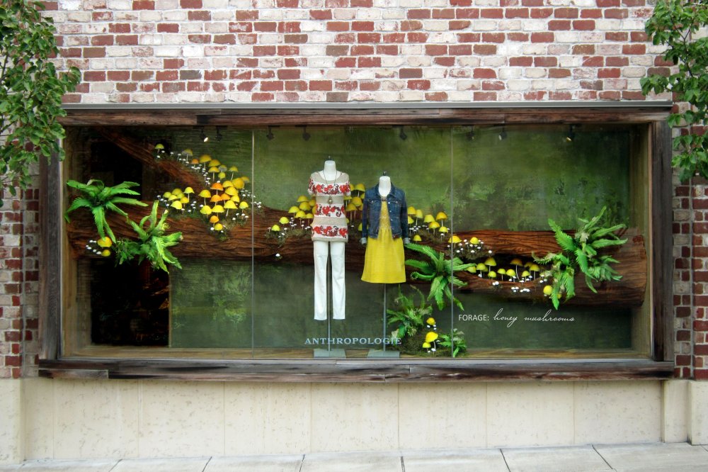 Баннер на витрину