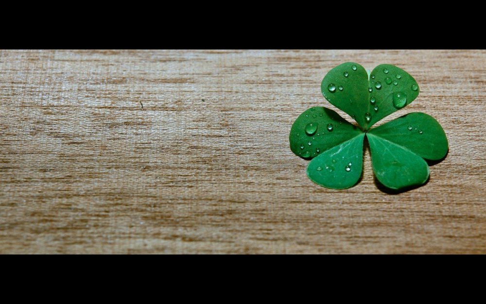 Лист клевера