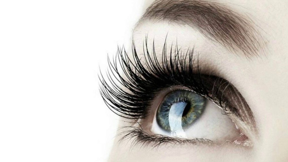 Архитектура бровей на белом фоне