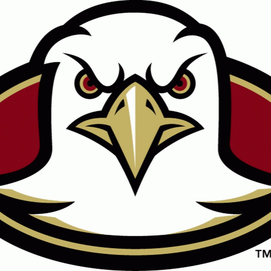 Эмблема отряда Орлы