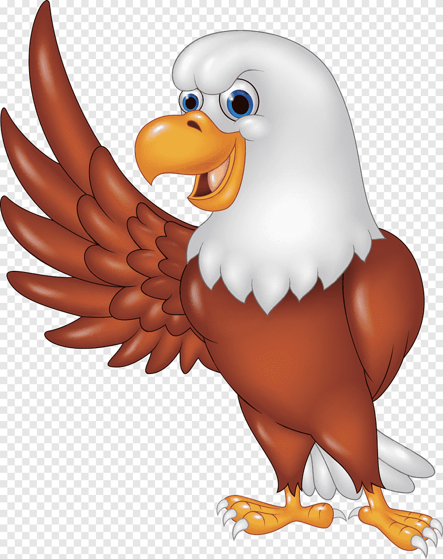 Орлята мультяшные