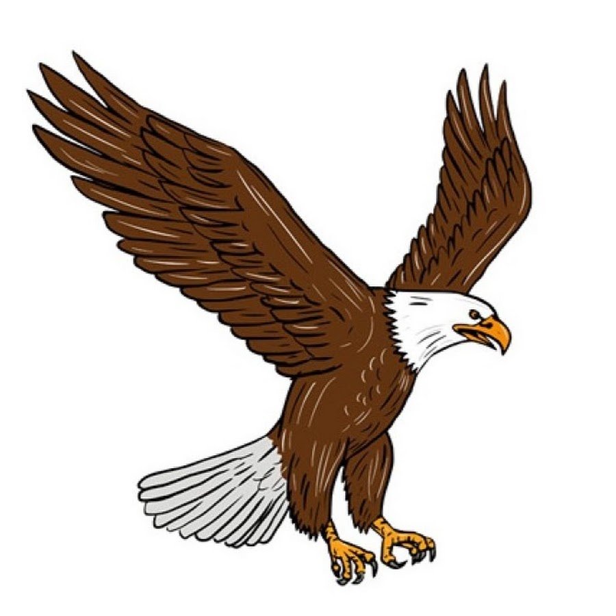 Орлы мультяшные