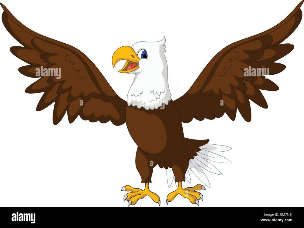 Орел мультяшный на белом фоне