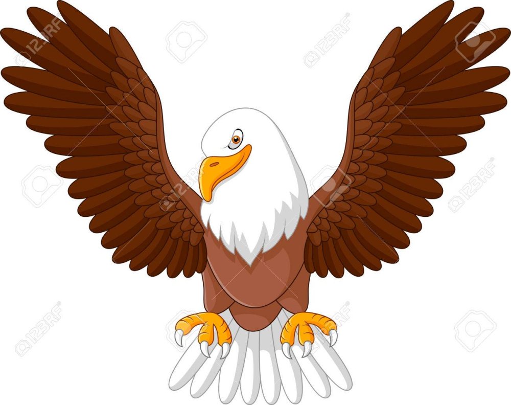 Орел мультяшка на белом фоне