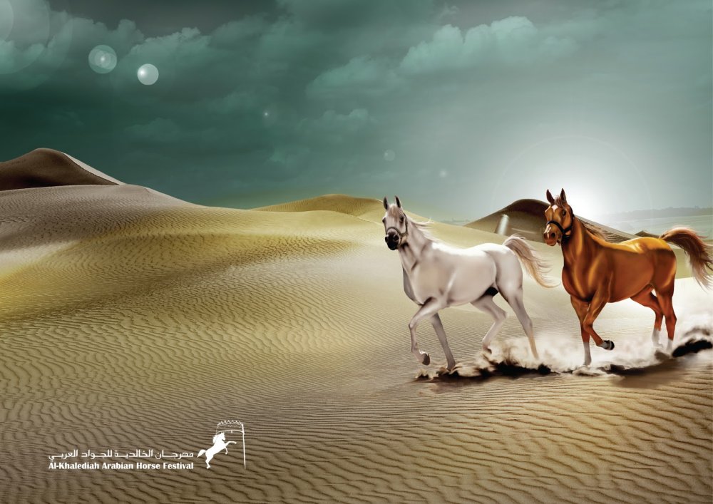 Арабский скакун в пустыне