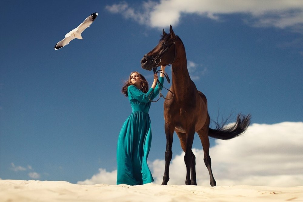 Арабская лошадь в пустыне