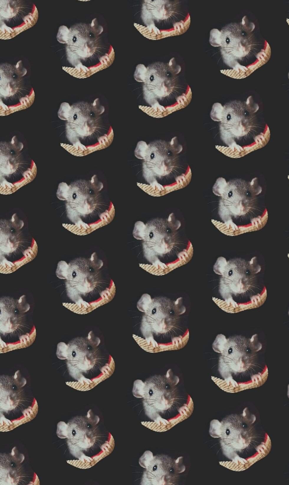 Много крыс на черном фоне