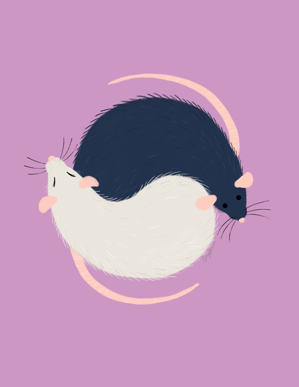 Крыска рисунок милый