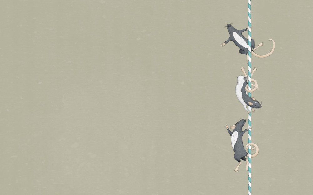 Фон для презентации крысы