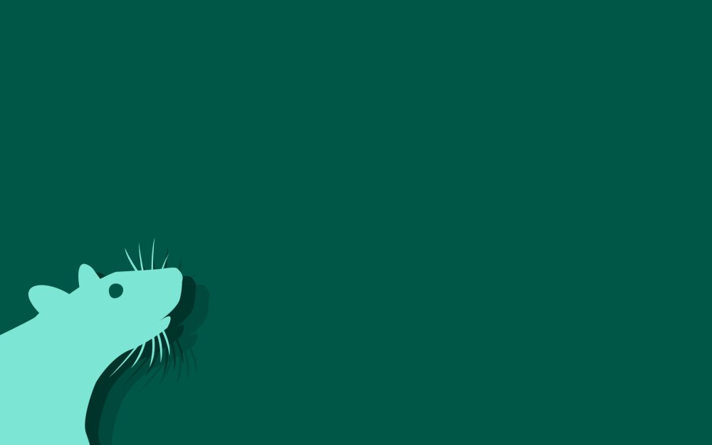 Крыса Минимализм