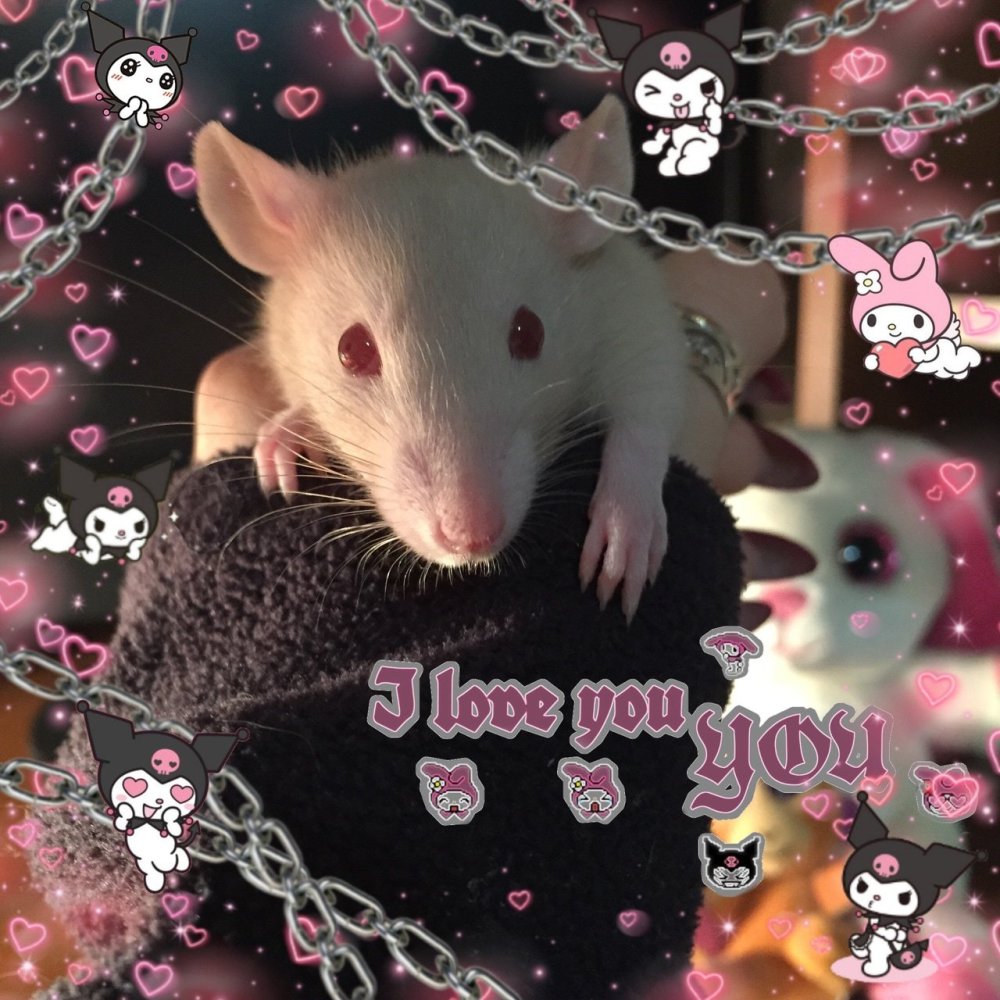 Эстетика крысок