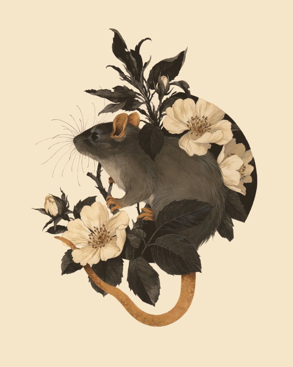 Рататуй мультфильм