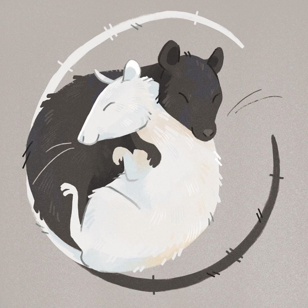 Крыса милый арт